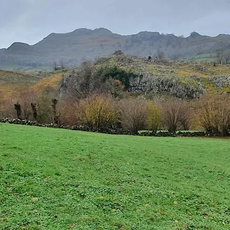 Angostina * Carcabal