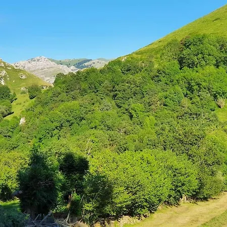 Angostina 샬레 Carcabal