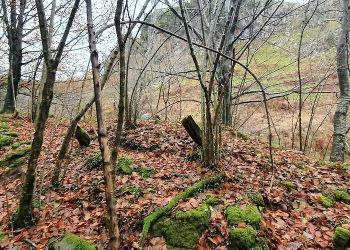 Angostina * Carcabal