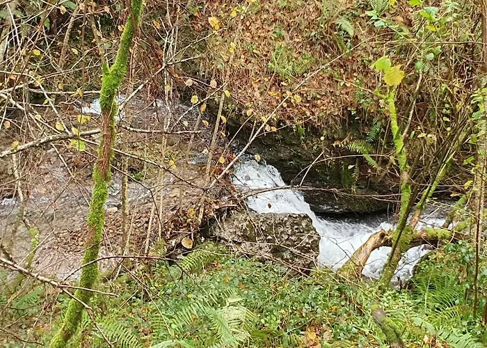 Angostina Horská chata *